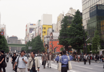 アルバム「大江戸細見」の写真 (4733)