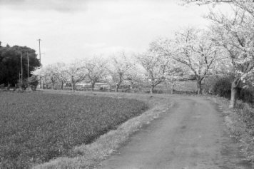 アルバム「名張・松阪散歩」の写真 (4755)