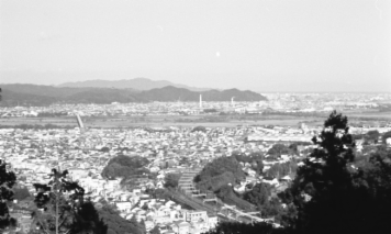 アルバム「浜松散歩」の写真 (4783)