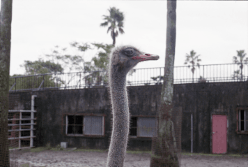 アルバム「西行記２０１４」の写真 (4796)