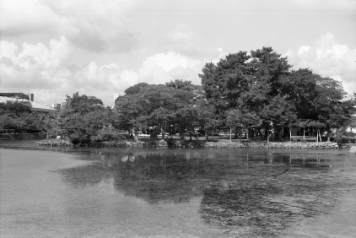 アルバム「北伊勢散歩」の写真 (4952)