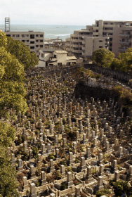 アルバム「須磨浦散歩」の写真 (5101)