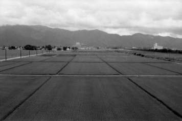 アルバム「みちのおく」の写真 (5224)