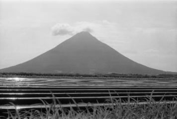 アルバム「坊津まで」の写真 (5237)