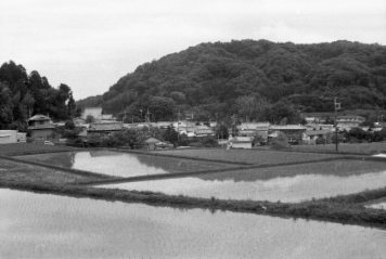 アルバム「宇陀散歩」の写真 (5357)