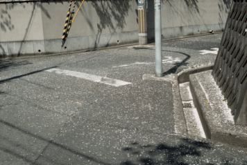 アルバム「大坂細見」の写真 (5397)