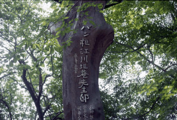アルバム「韮山散歩」の写真 (5672)