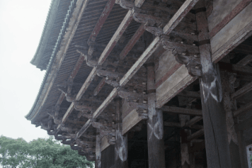 アルバム「奈良散歩」の写真 (5734)
