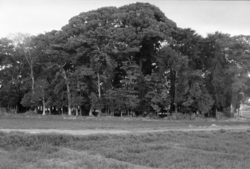 アルバム「名張・松阪散歩」の写真 (5859)