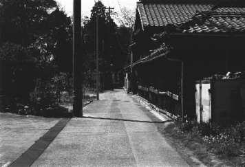 アルバム「知多散歩」の写真 (6312)