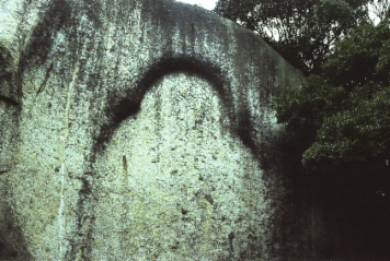 アルバム「笠置山・柳生のみち」の写真 (6464)