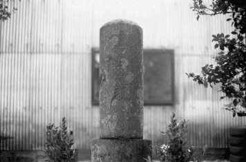 アルバム「西行記２０１４」の写真 (6496)