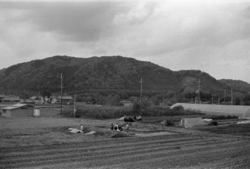 アルバム「加茂散歩」の写真 (652)