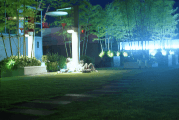 アルバム「園部・亀岡散歩」の写真 (6537)