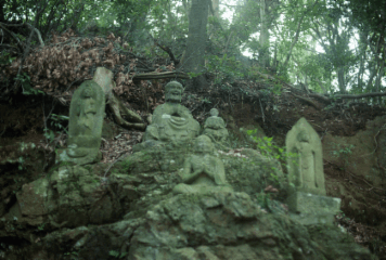 アルバム「関八州無用旅」の写真 (6613)