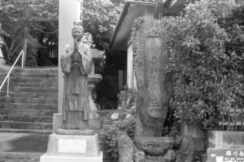 アルバム「日向白樺散歩」の写真 (683)