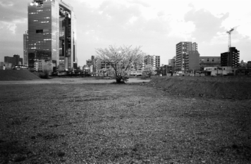 アルバム「大坂細見」の写真 (6902)