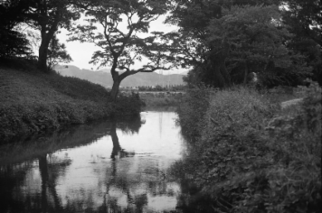 アルバム「くつのあと」の写真 (6934)