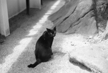 アルバム「みちのおく」の写真 (7202)