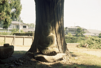 アルバム「みちのおく」の写真 (7255)