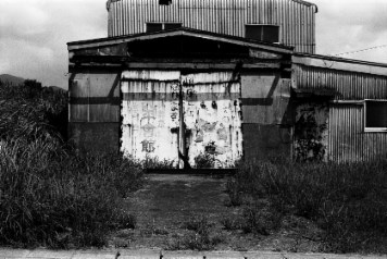 アルバム「坊津まで」の写真 (7256)