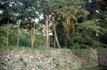 アルバム「北伊勢散歩」の写真 (7373)