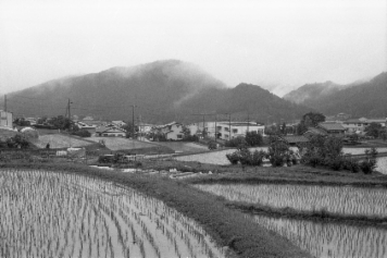 アルバム「宇陀散歩」の写真 (7380)