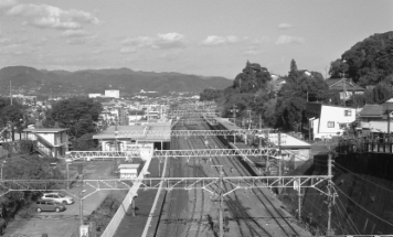 アルバム「浜松散歩」の写真 (7449)