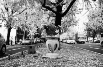 アルバム「大坂細見」の写真 (7478)