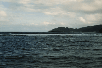 アルバム「坊津まで」の写真 (7626)