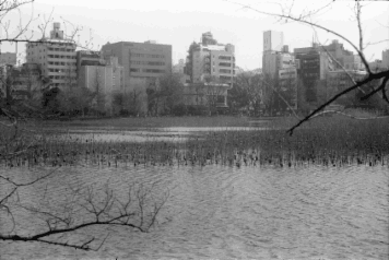 アルバム「大江戸細見」の写真 (7780)