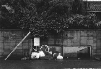 アルバム「知多散歩」の写真 (7790)