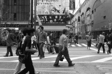 アルバム「大江戸細見」の写真 (7843)