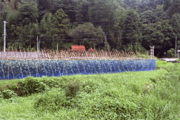 アルバム「坊津まで」の写真 (7857)