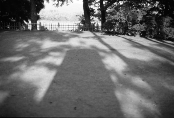 アルバム「みちのおく」の写真 (799)