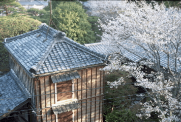 アルバム「名張・松阪散歩」の写真 (8064)