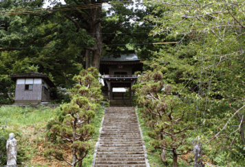 アルバム「坊津まで」の写真 (8295)