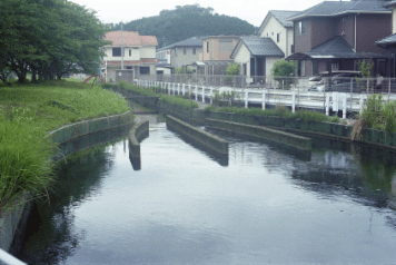 アルバム「甲賀散歩」の写真 (8483)