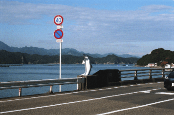 アルバム「南紀行」の写真 (8544)