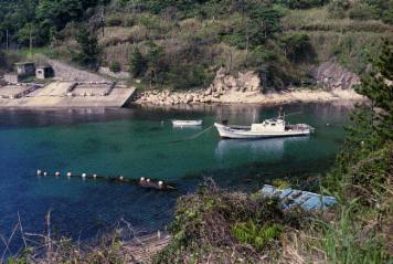 アルバム「湖西行」の写真 (8773)