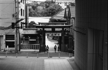 アルバム「大坂細見」の写真 (9005)
