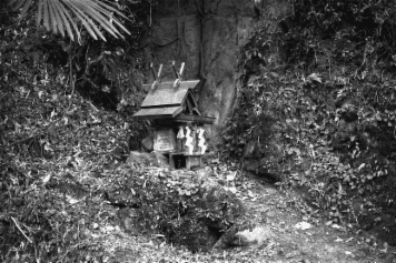 アルバム「奈良桜井散歩」の写真 (906)