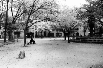 アルバム「大坂細見」の写真 (9370)