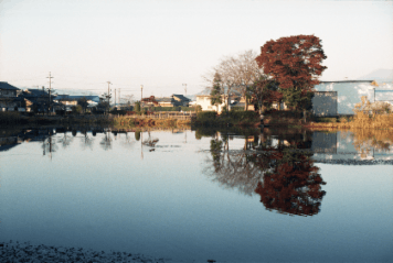 アルバム「大垣散歩」の写真 (9408)