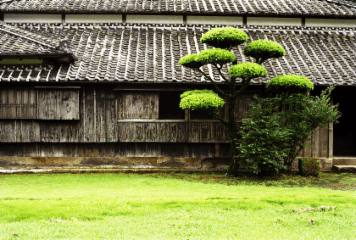 アルバム「坊津まで」の写真 (954)
