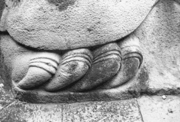 アルバム「みちのおく」の写真 (9571)