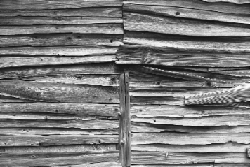 アルバム「知多散歩」の写真 (9710)