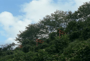 アルバム「園部・亀岡散歩」の写真 (9759)