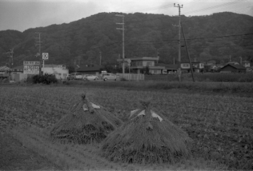 アルバム「加茂散歩」の写真 (9782)